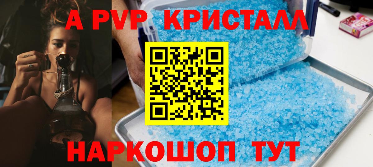 Альфа ПВП СК КРИС Сочи