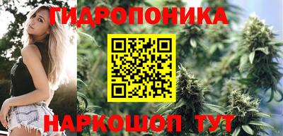 крисы Обнинск