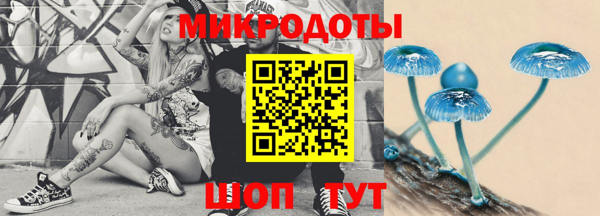 Галлюциногенные грибы Psilocybine cubensis Сочи