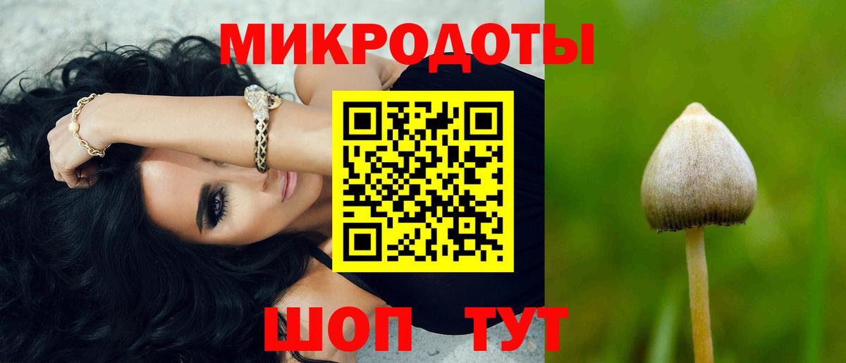 Псилоцибиновые грибы мухоморы  где купить наркоту  Сочи  Вход с VPN 
